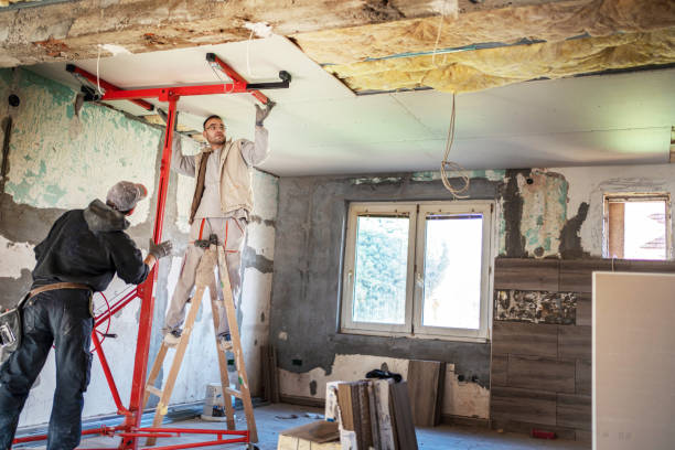 Best Professional Insulation Contractor  in Nashville, TN