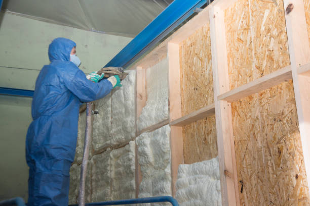 Best Crawl Space Insulation  in Nashville, TN